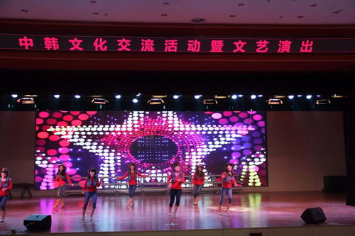 童心相连 艺韵相融——中韩文化交流活动暨文艺演出在市实验小学成功举办